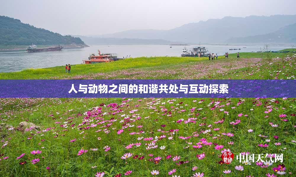 人与动物之间的和谐共处与互动探索