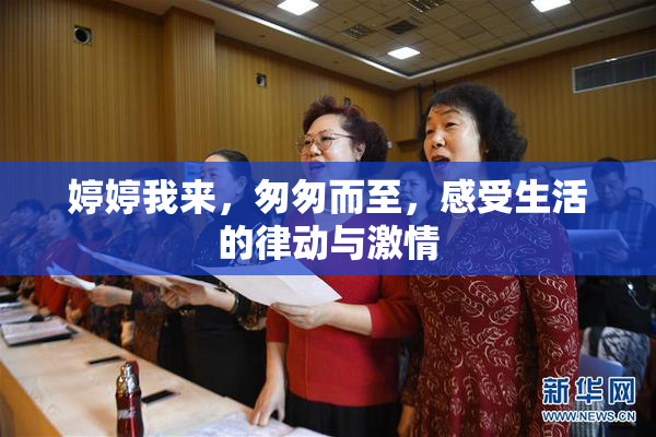 婷婷我来，匆匆而至，感受生活的律动与激情