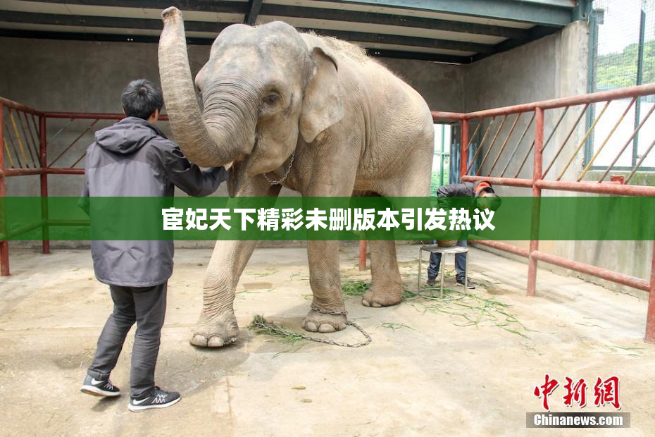 宦妃天下精彩未删版本引发热议