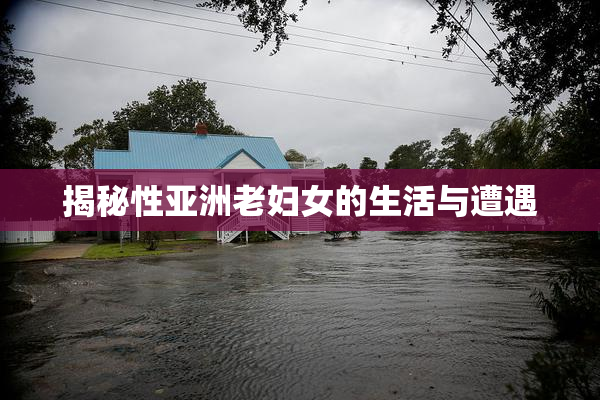 揭秘性亚洲老妇女的生活与遭遇