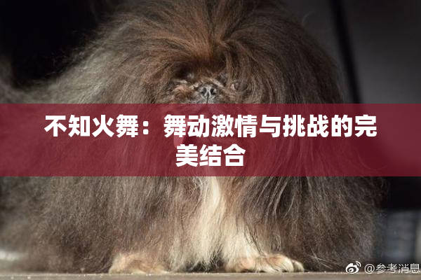 不知火舞：舞动激情与挑战的完美结合