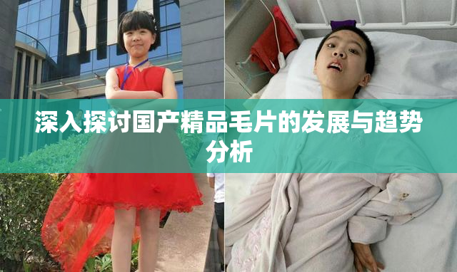 深入探讨国产精品毛片的发展与趋势分析