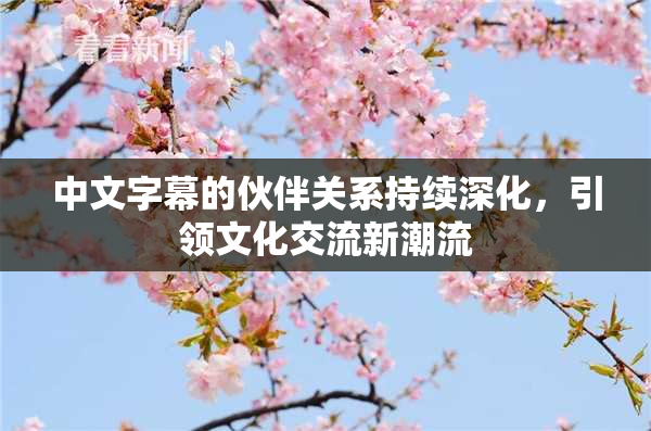 中文字幕的伙伴关系持续深化，引领文化交流新潮流