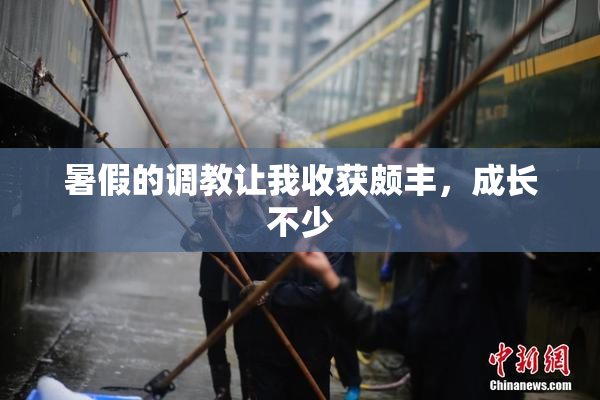 暑假的调教让我收获颇丰，成长不少