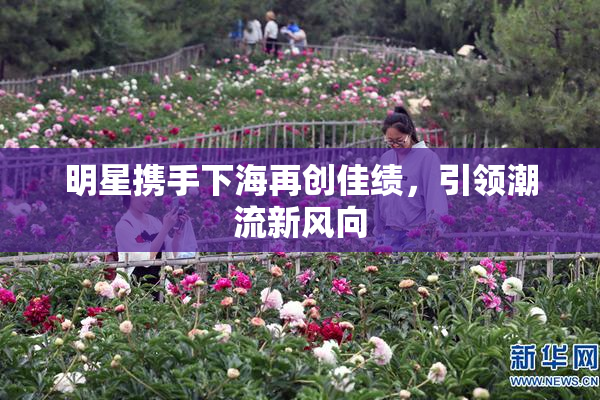 明星携手下海再创佳绩，引领潮流新风向