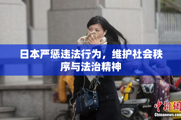 日本严惩违法行为，维护社会秩序与法治精神