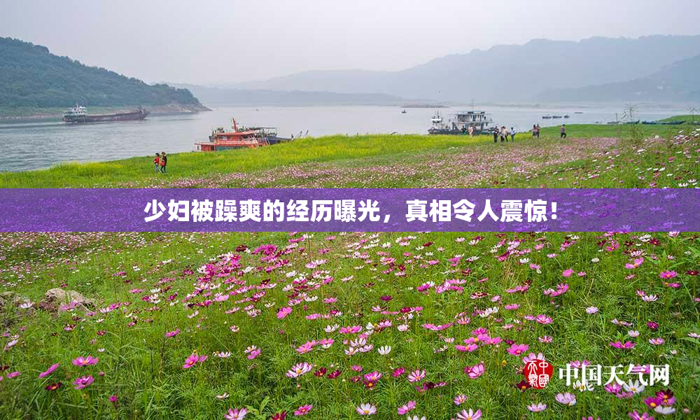 少妇被躁爽的经历曝光，真相令人震惊！