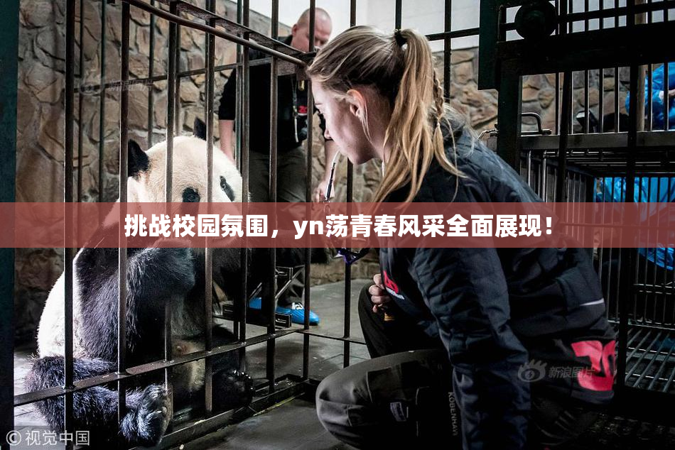 挑战校园氛围，yn荡青春风采全面展现！