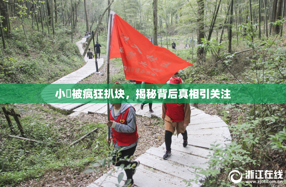 小泬被疯狂扒块，揭秘背后真相引关注