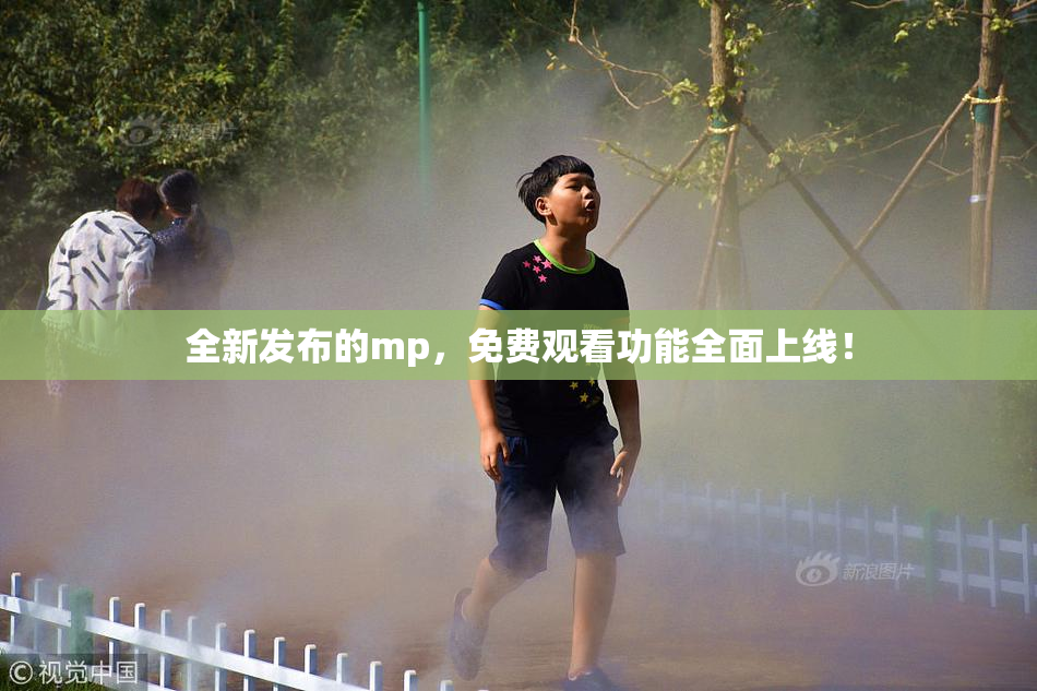 全新发布的mp，免费观看功能全面上线！