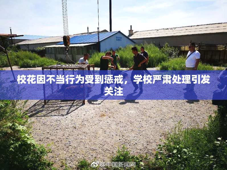 校花因不当行为受到惩戒，学校严肃处理引发关注