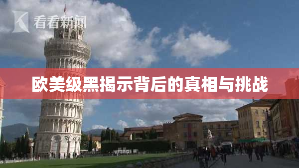 欧美级黑揭示背后的真相与挑战