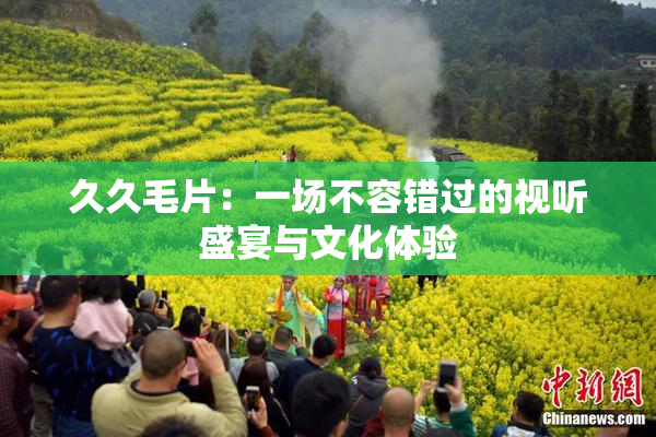 久久毛片：一场不容错过的视听盛宴与文化体验