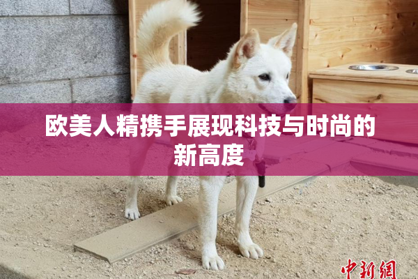 欧美人精携手展现科技与时尚的新高度