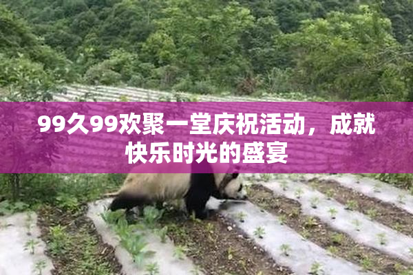 99久99欢聚一堂庆祝活动，成就快乐时光的盛宴