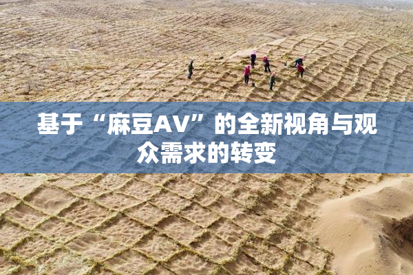 基于“麻豆AV”的全新视角与观众需求的转变