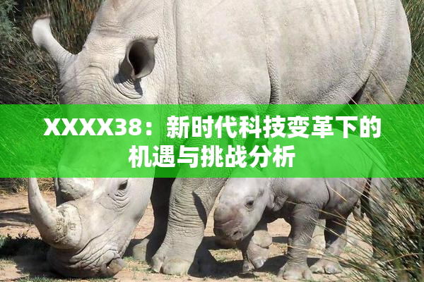 XXXX38：新时代科技变革下的机遇与挑战分析
