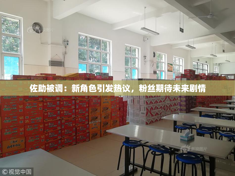 佐助被调：新角色引发热议，粉丝期待未来剧情