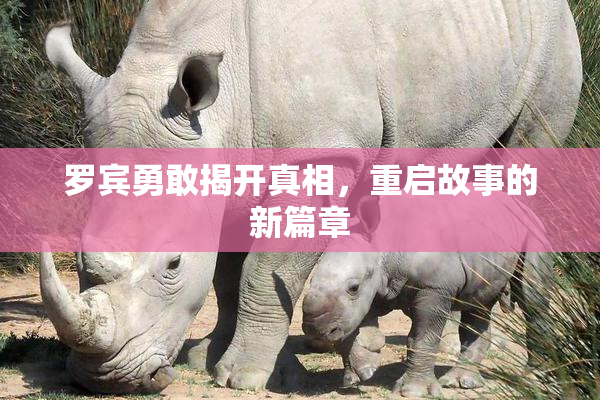 罗宾勇敢揭开真相，重启故事的新篇章
