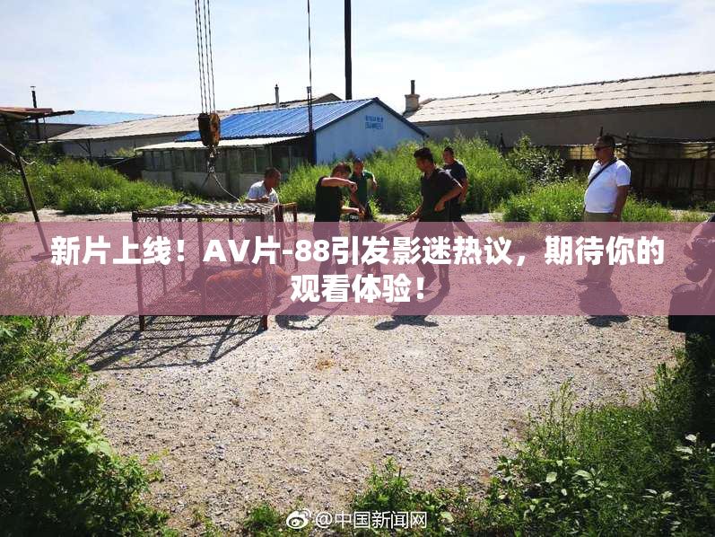 新片上线！AV片-88引发影迷热议，期待你的观看体验！