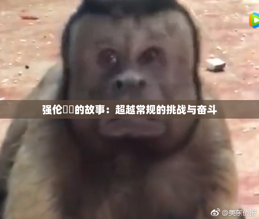 强伦妺妺的故事：超越常规的挑战与奋斗