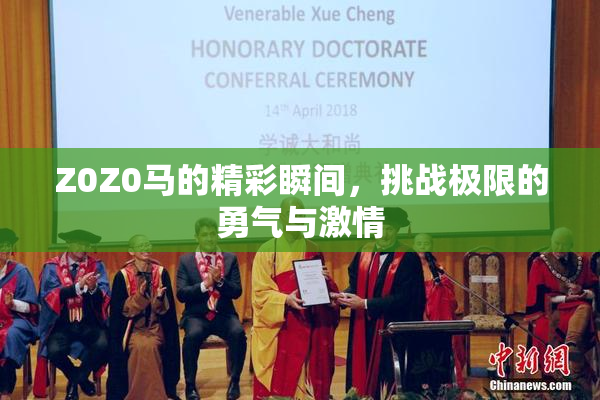 Z0Z0马的精彩瞬间，挑战极限的勇气与激情