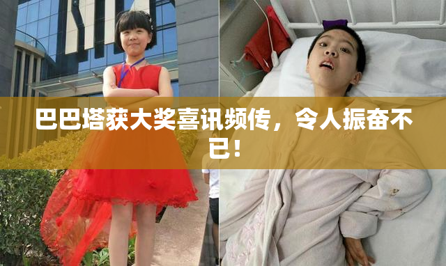 巴巴塔获大奖喜讯频传，令人振奋不已！