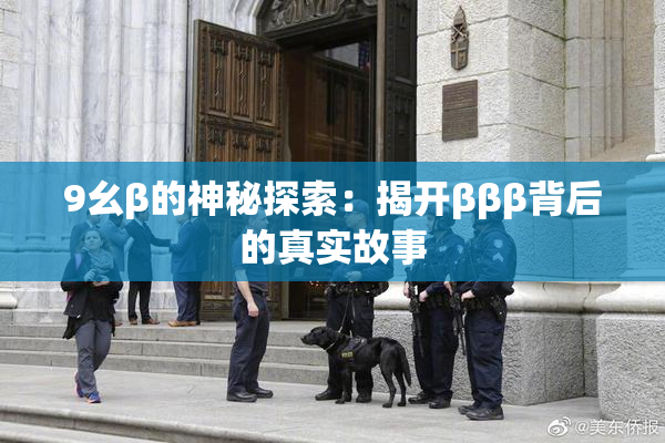 9幺β的神秘探索：揭开βββ背后的真实故事