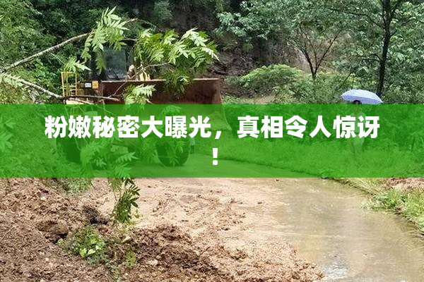 粉嫩秘密大曝光，真相令人惊讶！