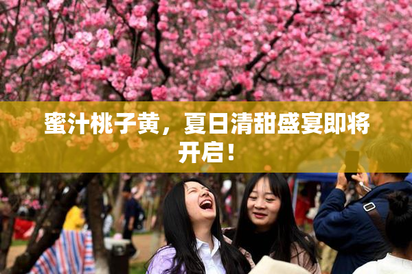 蜜汁桃子黄，夏日清甜盛宴即将开启！