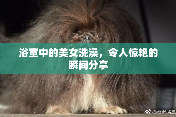 浴室中的美女洗澡，令人惊艳的瞬间分享