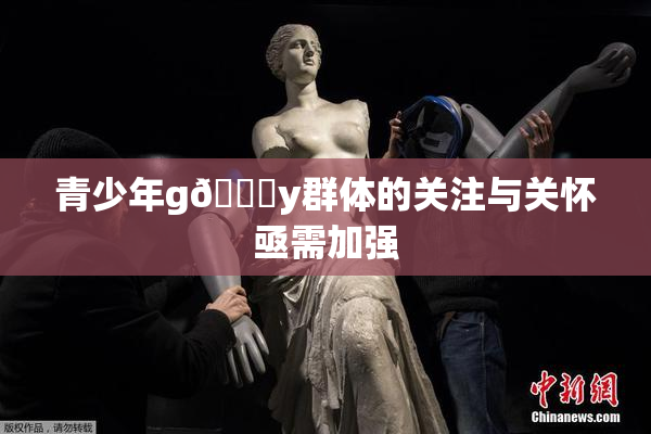 青少年g🈚y群体的关注与关怀亟需加强