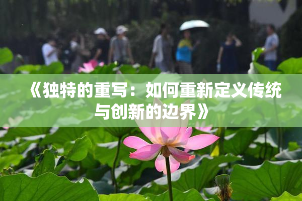 《独特的重写：如何重新定义传统与创新的边界》