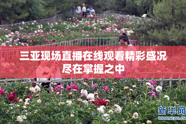 三亚现场直播在线观看精彩盛况尽在掌握之中