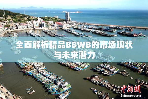 全面解析精品BBWB的市场现状与未来潜力