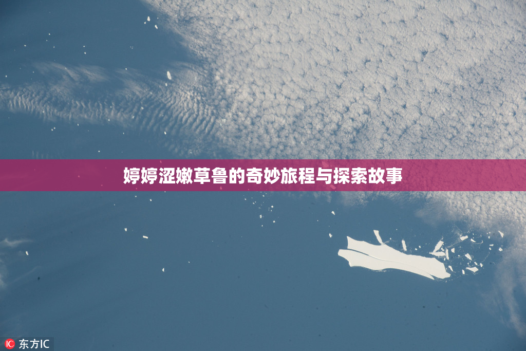 婷婷涩嫩草鲁的奇妙旅程与探索故事