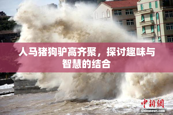 人马猪狗驴高齐聚，探讨趣味与智慧的结合