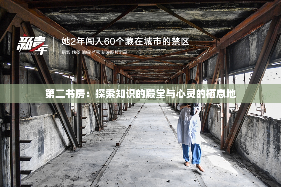 第二书房：探索知识的殿堂与心灵的栖息地
