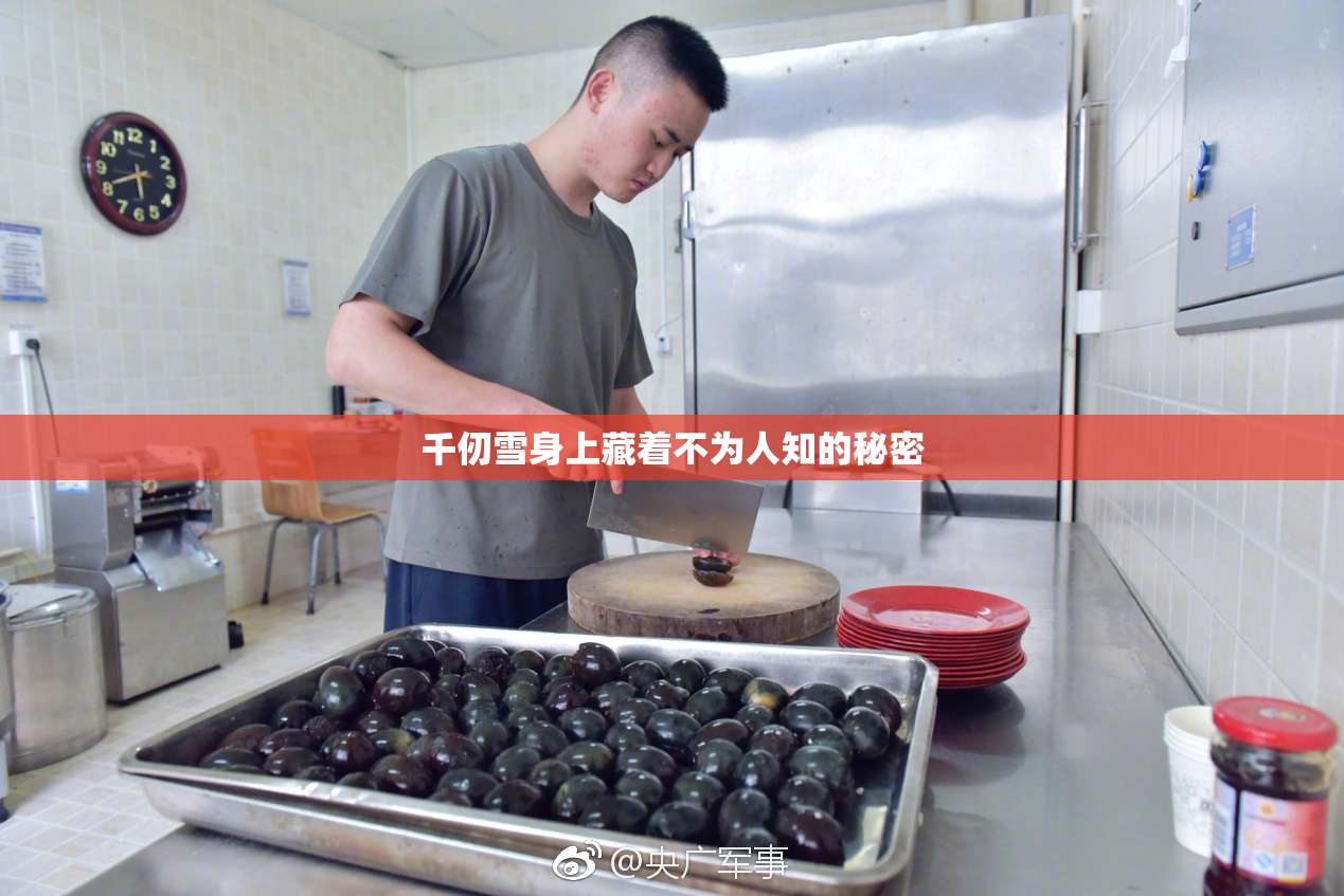 千仞雪身上藏着不为人知的秘密