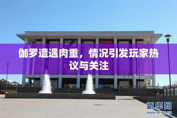 伽罗遭遇肉重，情况引发玩家热议与关注