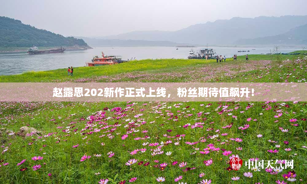 赵露思202新作正式上线，粉丝期待值飙升！