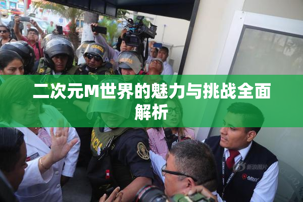 二次元M世界的魅力与挑战全面解析