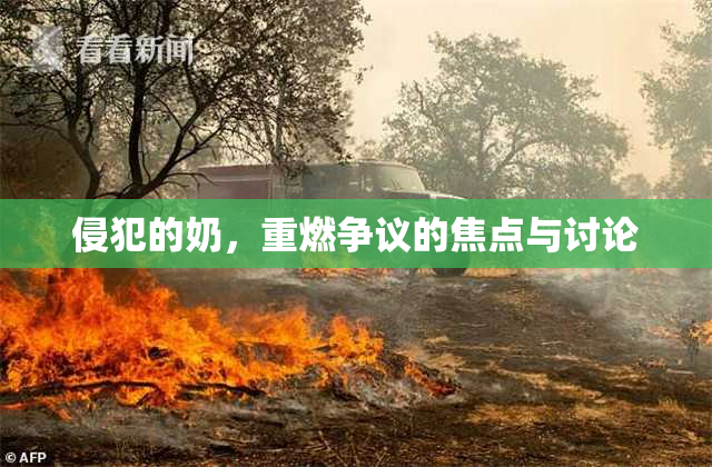 侵犯的奶，重燃争议的焦点与讨论