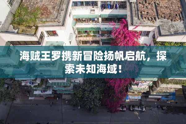 海贼王罗携新冒险扬帆启航，探索未知海域！