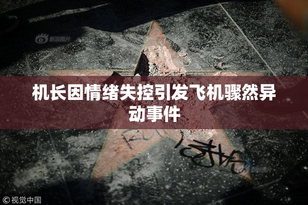 机长因情绪失控引发飞机骤然异动事件