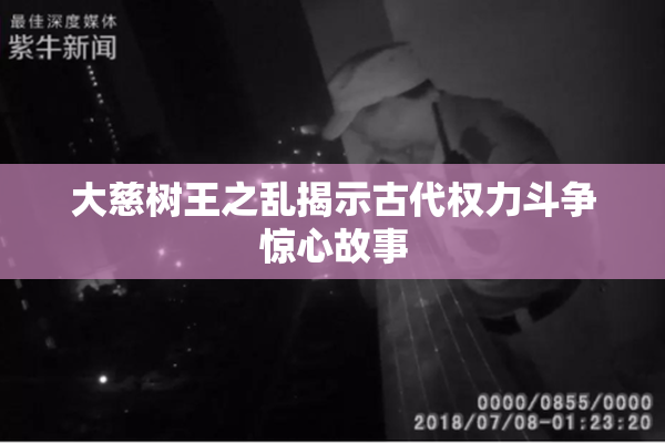 大慈树王之乱揭示古代权力斗争惊心故事