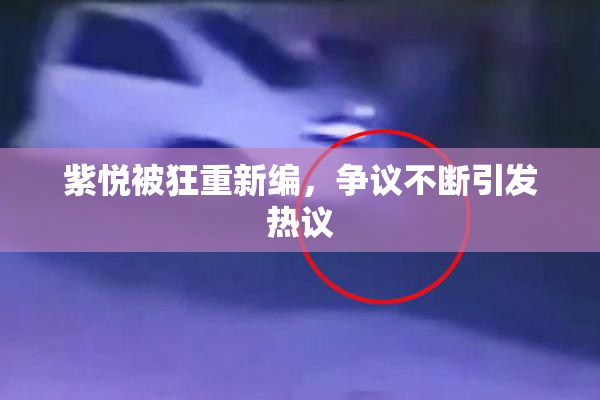 紫悦被狂重新编，争议不断引发热议