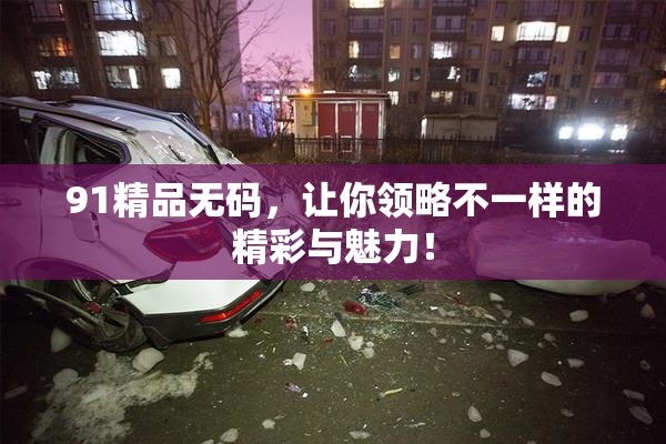 91精品无码，让你领略不一样的精彩与魅力！