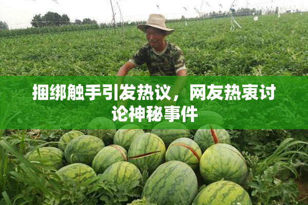 捆绑触手引发热议，网友热衷讨论神秘事件