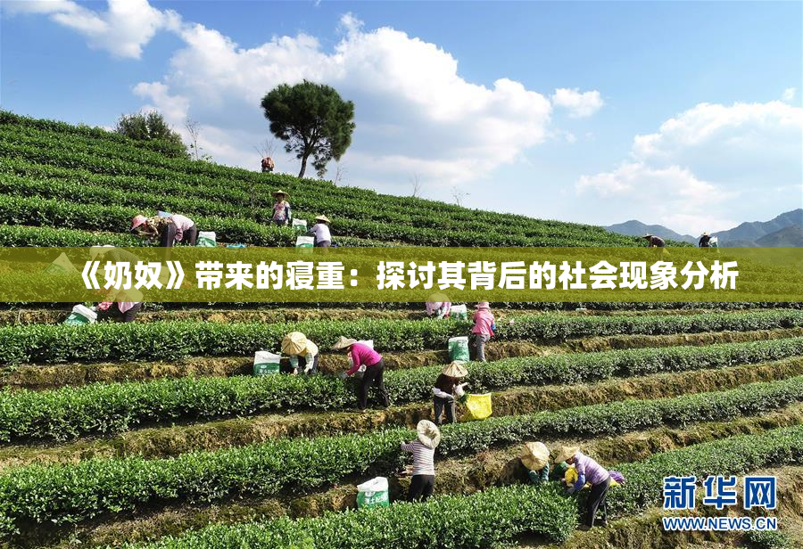 《奶奴》带来的寝重：探讨其背后的社会现象分析